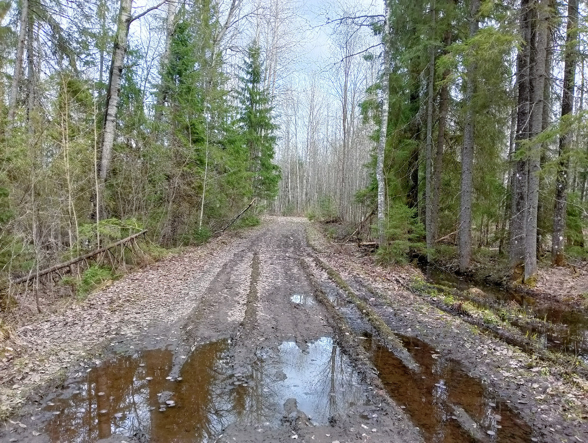 Road to the confluence