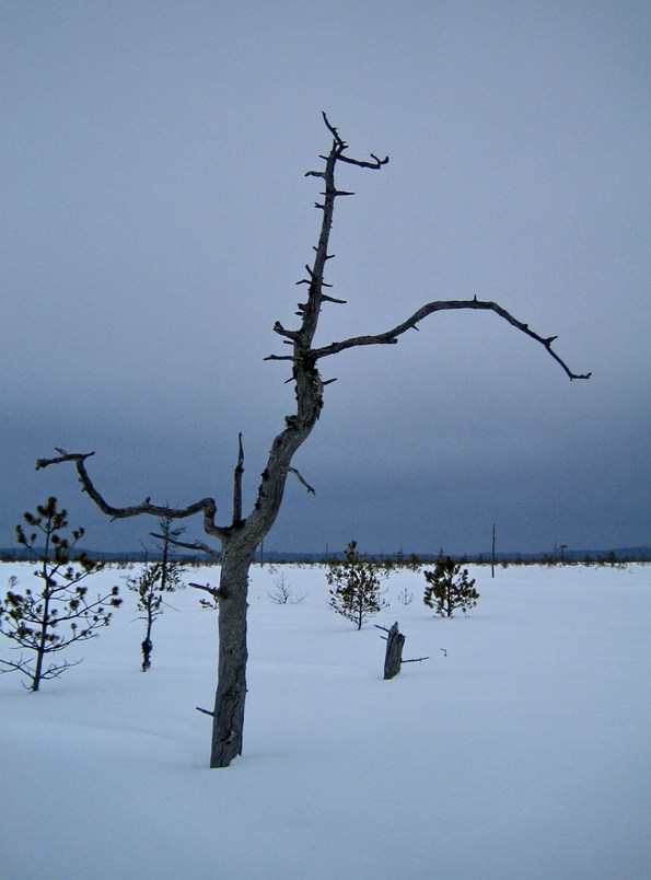 Посреди "Океана"/At the middle of the "Ocean"