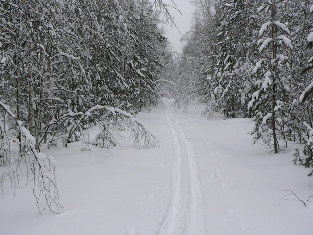 Our ski-track