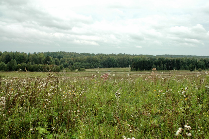 West view/Вид на запад в 10 метрах от точного места