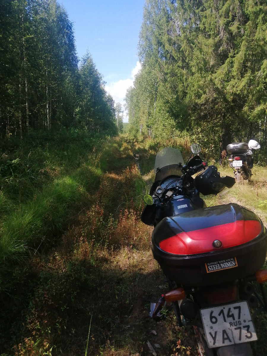 Road to the confluence