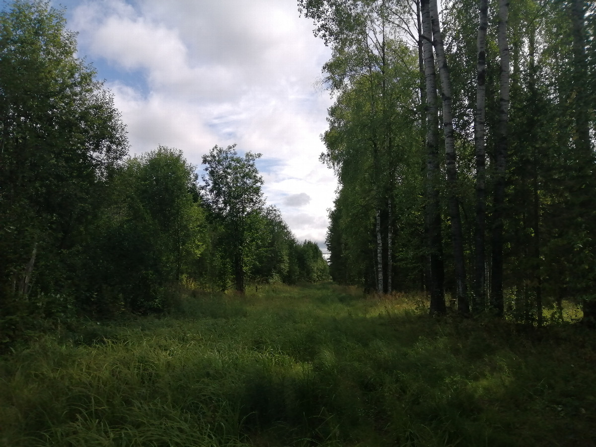 Road near the confluence