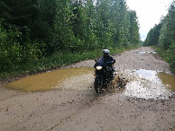 #11: Puddles on the road