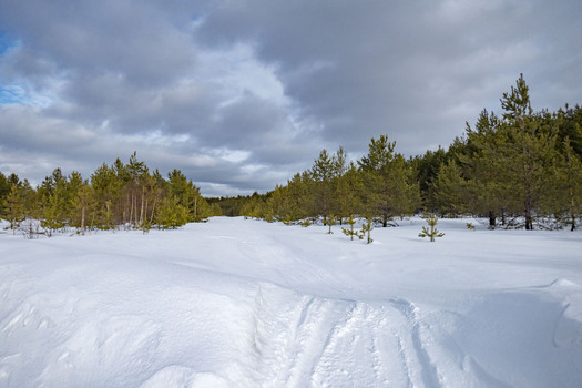 #1: Вид в сторону пересечения / View towards CP