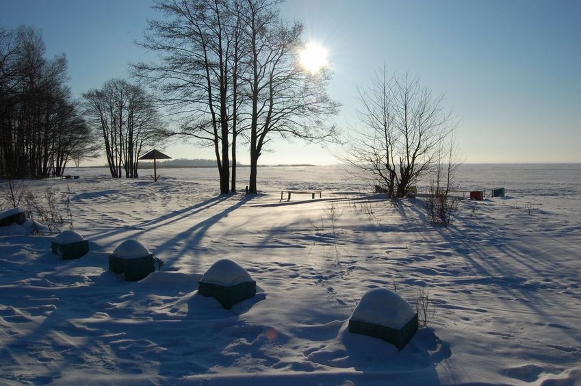 The frozen Bay