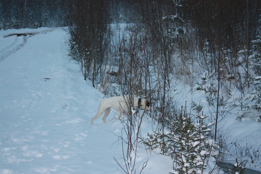 "If my nose doesn't fail me your confluence is over there!" / "Если мне не изменяет нюх, эта твоя конфлюенция вон там!"