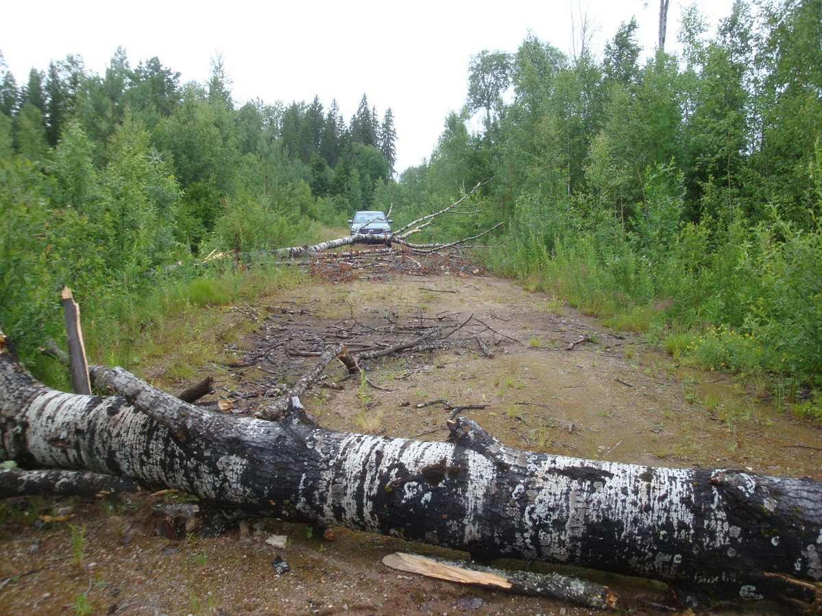 Путь перекрыт / Path is blocked