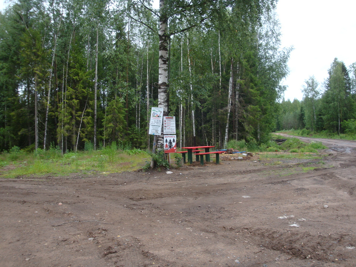 Развилка дорог / A road fork