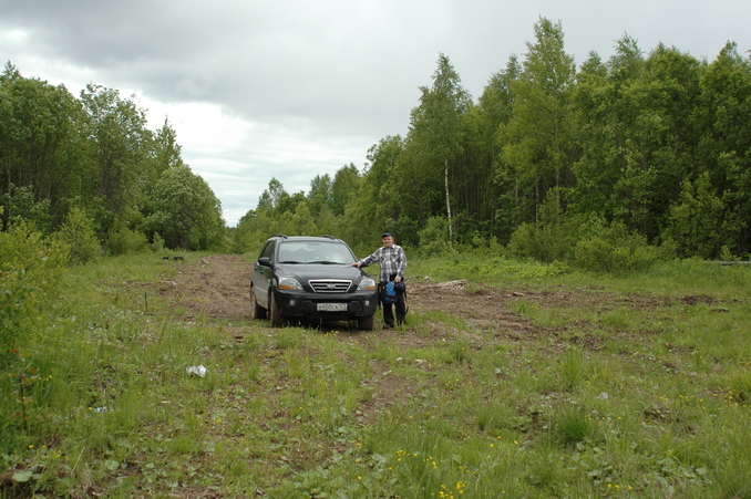 Parking on a glade