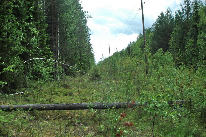 Electric power line