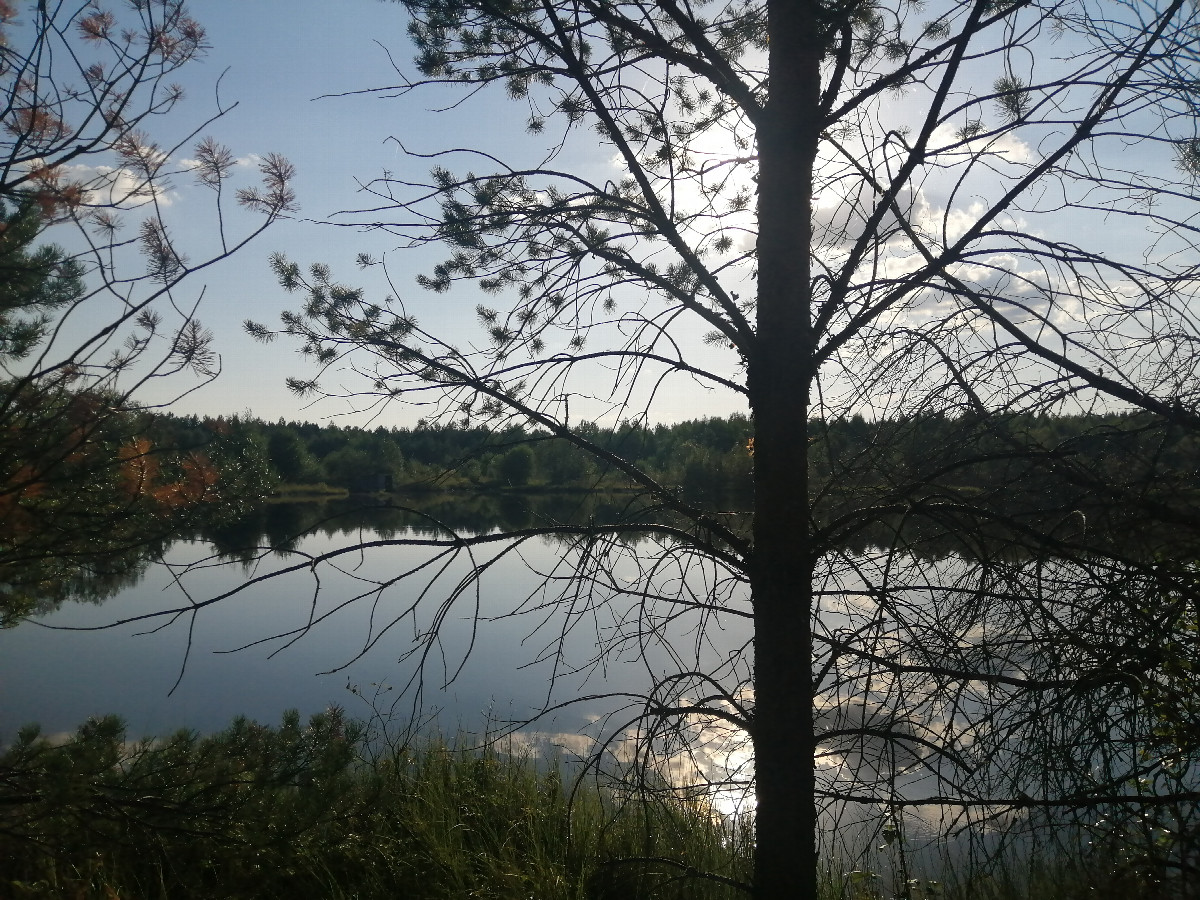 Lake near Brusnichny