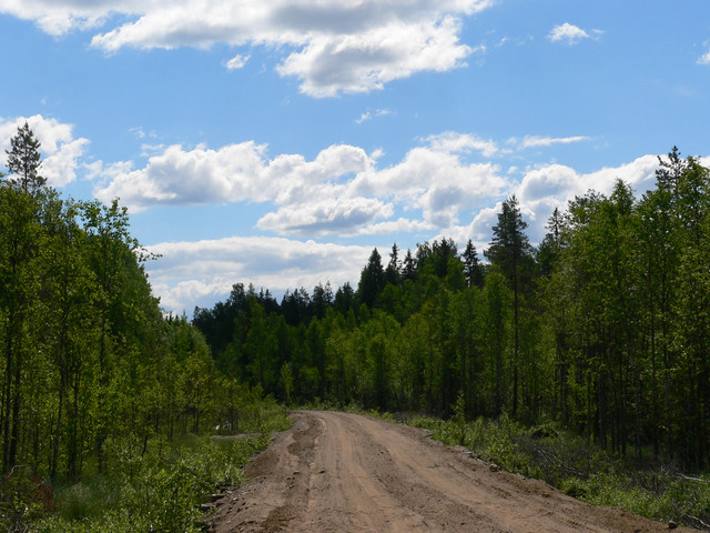 A road near the point (дорога рядом с точкой)