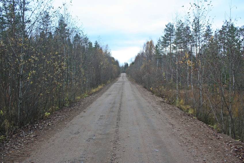 Road to the confluence / Дорога к пересечению