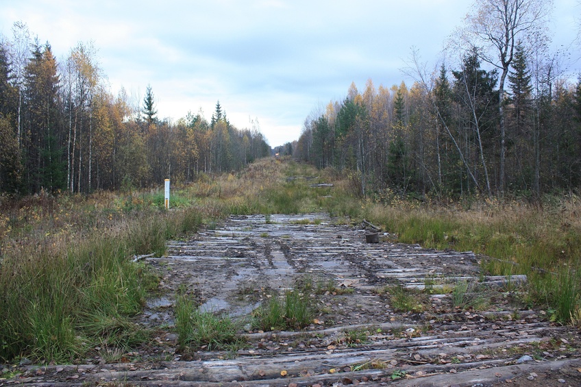  Causeway near the confluence / Гать неподалеку от пересечения