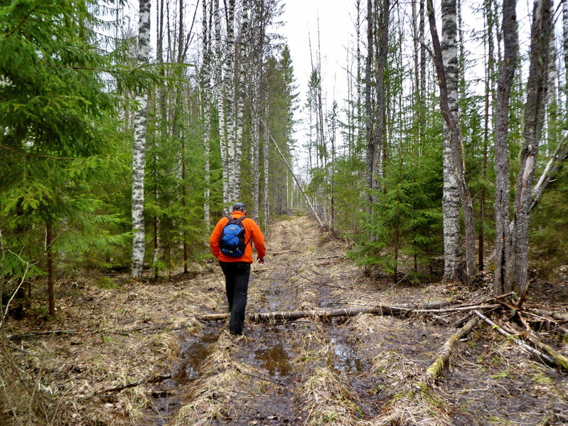 On the way back/Путь назад