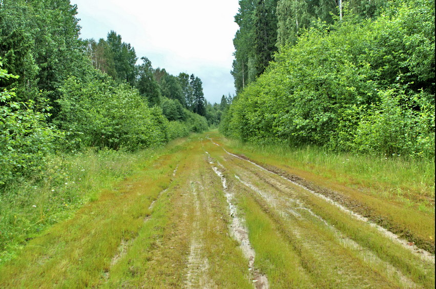 Точка поворота, в ту сторону мы шли/Turning point. We walked there (South)