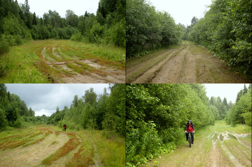 Вот так мы шли и катились под дождем/Walking and riding under the rain