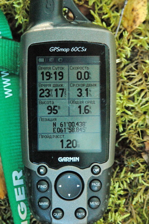 GPS reading