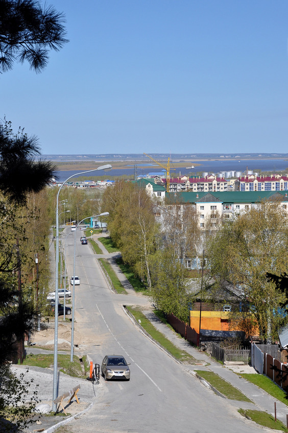 Sobyanin street