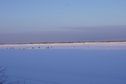 #8: Рыбаки на реке Обь/Fishermen on Ob' river