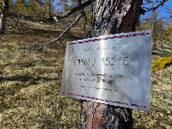 #6: Табличка / Memorial sign