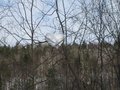 #7: Выход к ручью. Снежная шапка в форме сердечка/Approach to the brook. Snowy hat of heart-shape