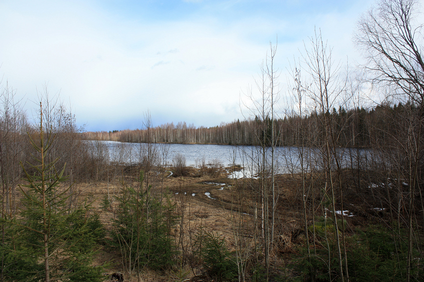 One lake already in spring... / На одном озере уже весна...