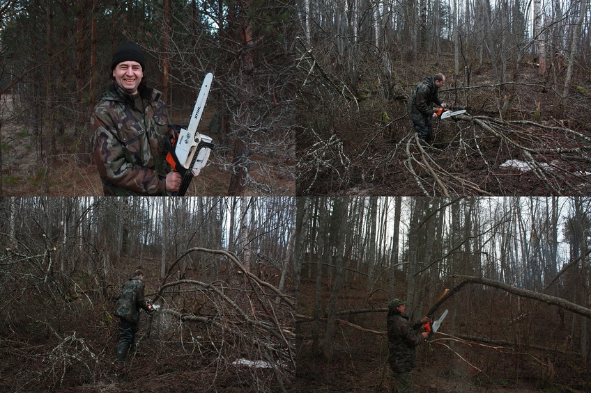 Don't go into wilderness without chainsaw! / Не забирайтесь в глушь без бензопилы!