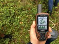 #6: GPS readings