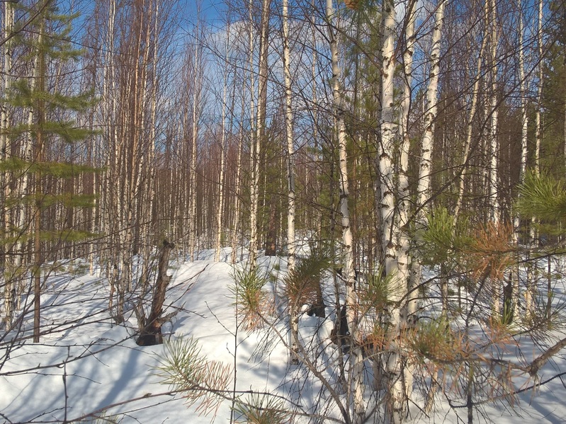 The Confluence from 5 m distance