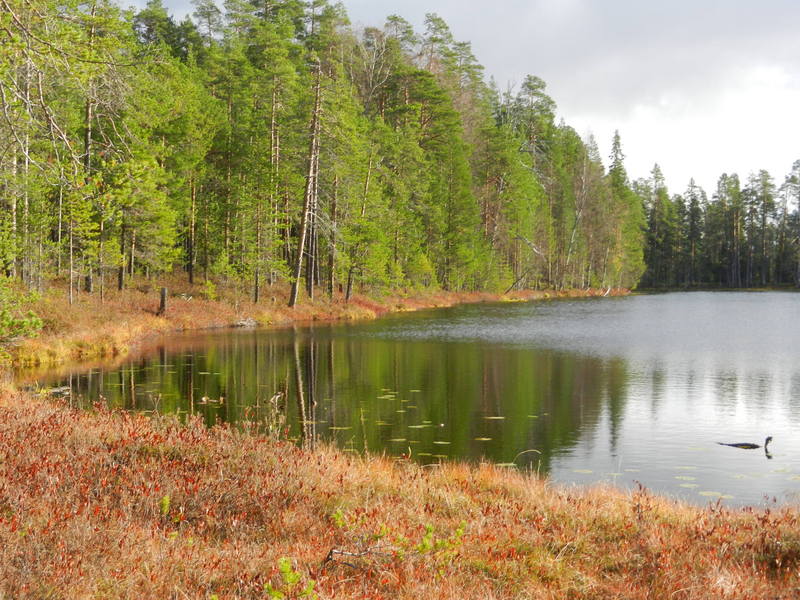 Озеро по дороге к Пересечению / Lake on the way to DCP