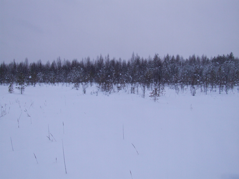 Вид на юг / View to South