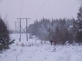 #10: Просека ЛЭП / High-voltage line glade