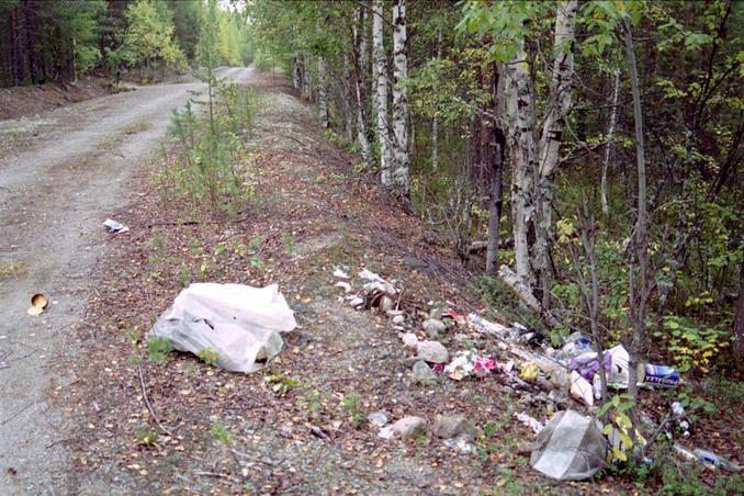 Лесная дорога / Forest road