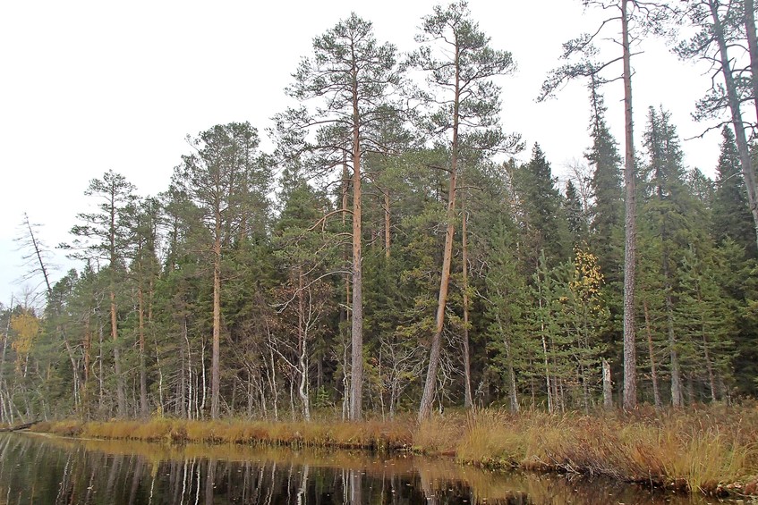 General view from the lake / Общий вид с озера