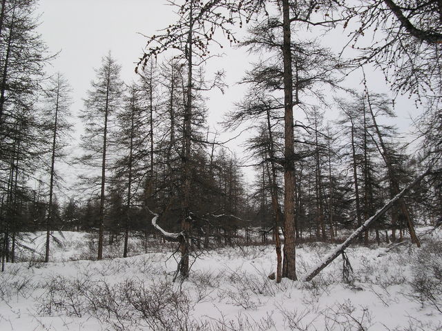 Looking east of the confluence