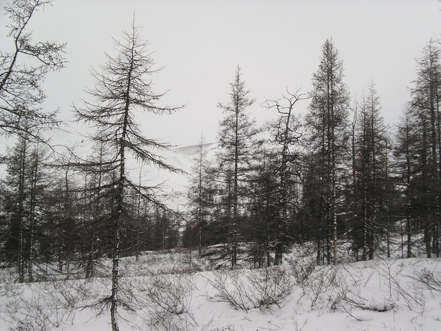 Looking west from the confluence