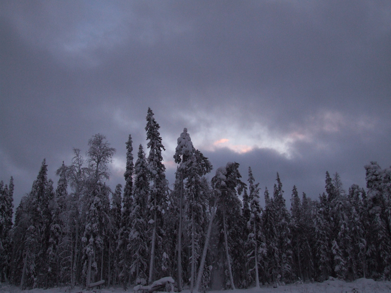 Небо над тайгой / Lowering sky above taiga