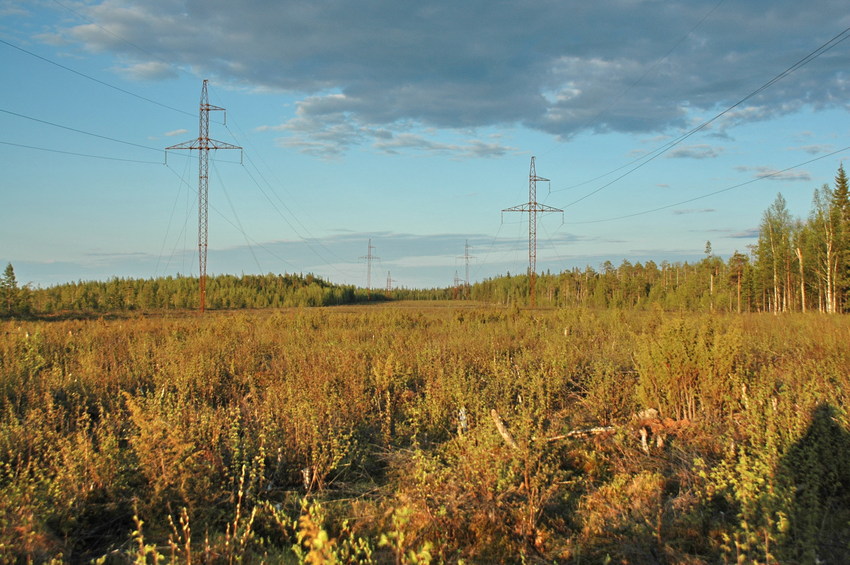 Electric Power Line/ЛЭП