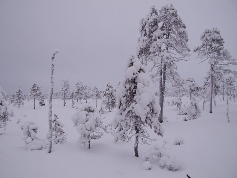 Вид на восток / View to East