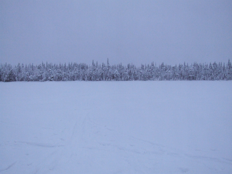 Вид на север / View to North