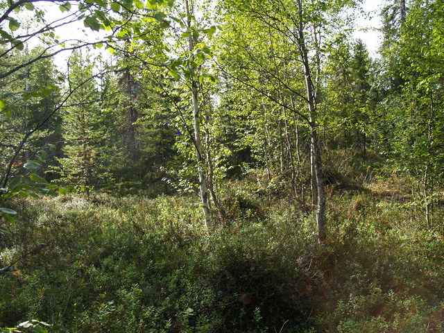 Confluence point - view to west