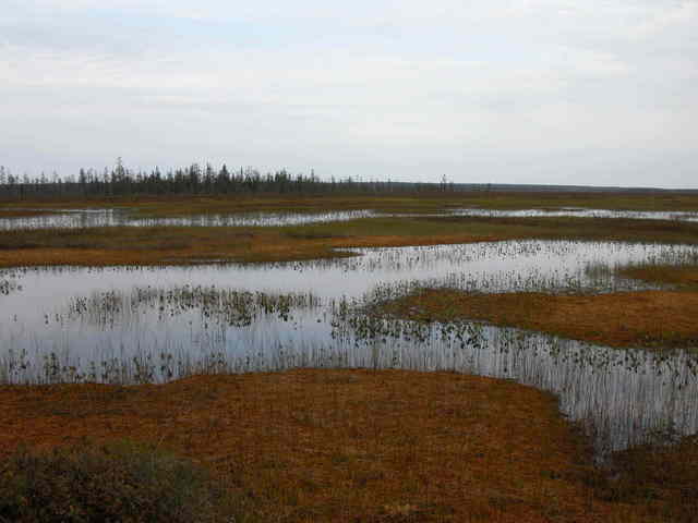 view of the point in northern direction