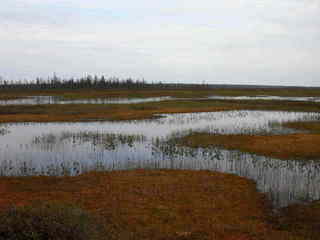 #1: view of the point in northern direction