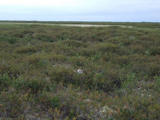 #1: a view of the confluence