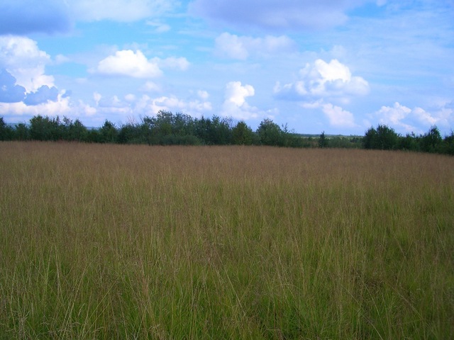 General view of the Confluence