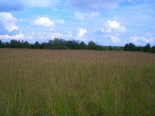 #1: General view of the Confluence