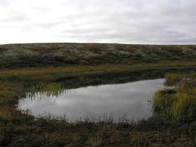 A local landscape