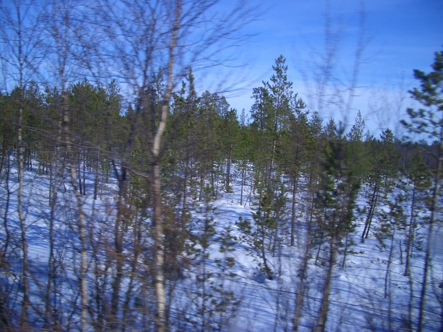 Terrain just west of the confluence point as seen from the south