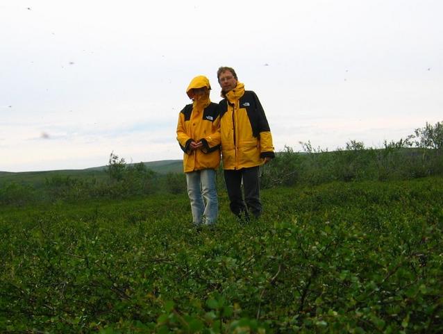 Confluence hunters and mosquitoes